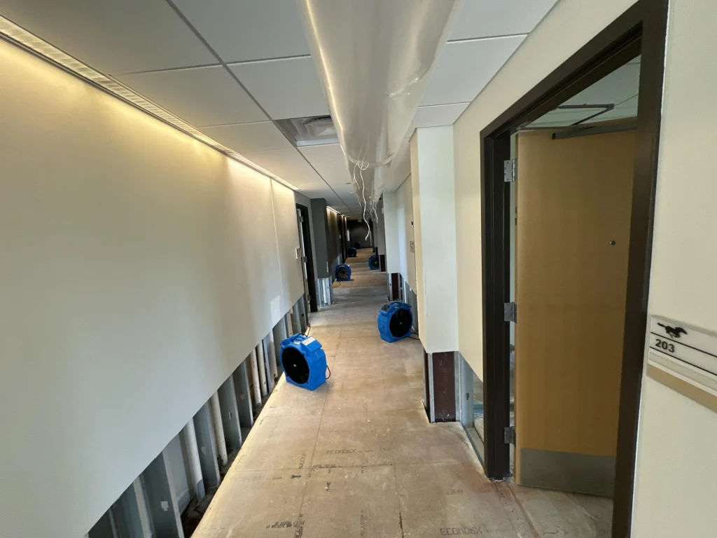 Commercial office building water damage dry out and structural drying